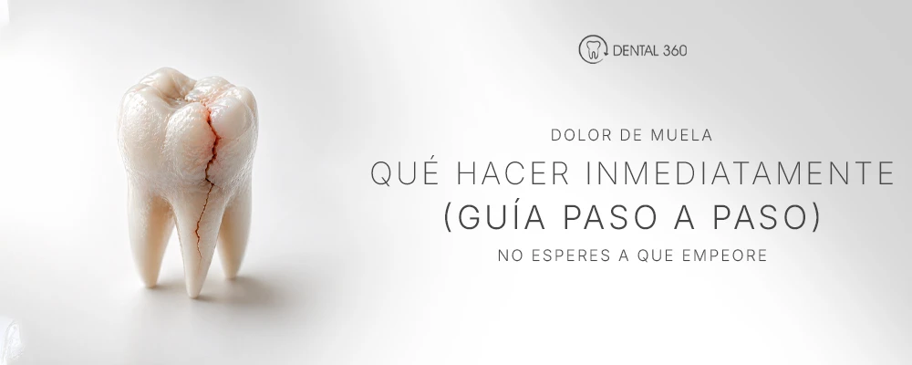 Muela fracturada junto al texto dolor de muela y qué hacer inmediatamente paso a paso